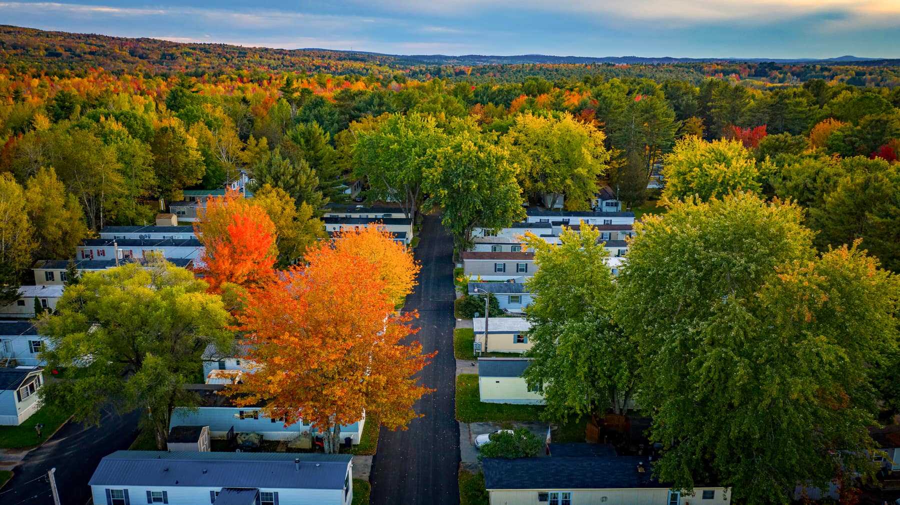 Cedar Haven homes surrounded by brilliant autumn maples