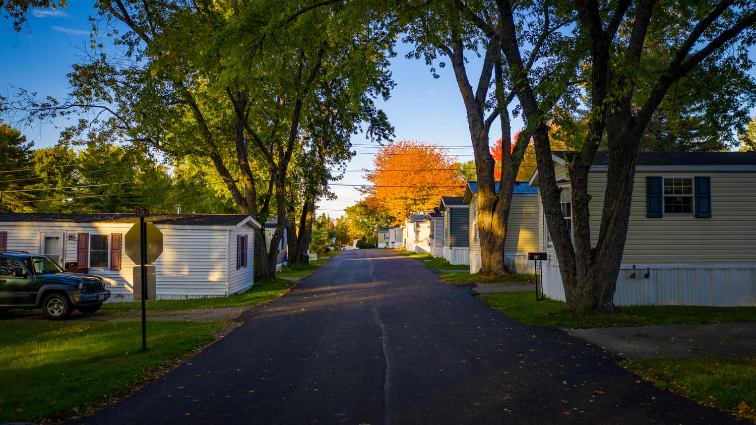 Tree-lined lane through the community in fall